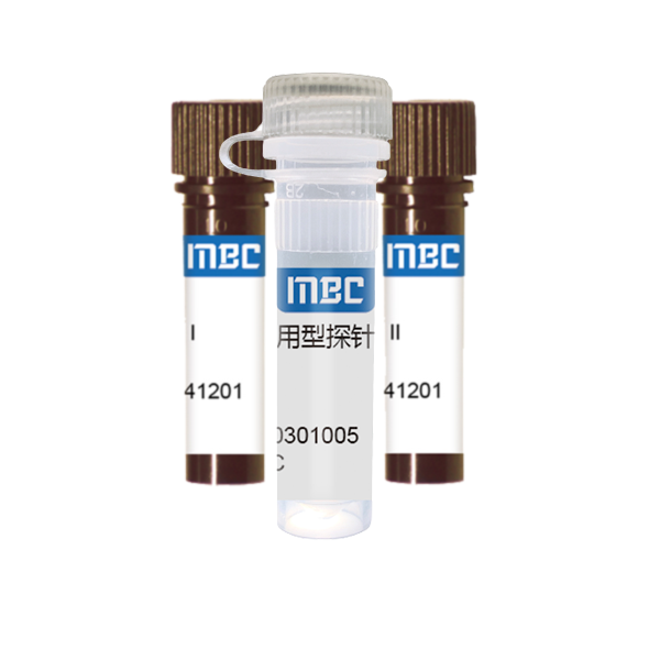 MBC 通用型探针法 Real-time PCR(qPCR) 试剂盒