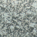 人单核细胞白血病细胞; THP-1