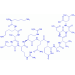 Autocamtide-2-Related Inhibitory Peptide trifluoroacetate salt